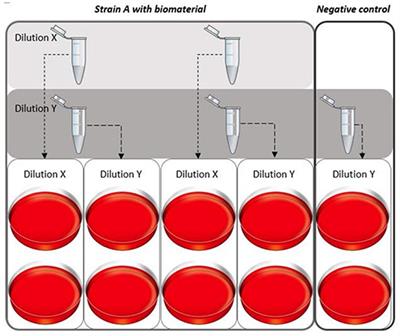 Assessment of Growth Reduction of Five Clinical Pathogens by Injectable S53P4 Bioactive Glass Material Formulations